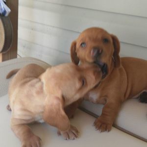 Meet your Posher, Marilyn